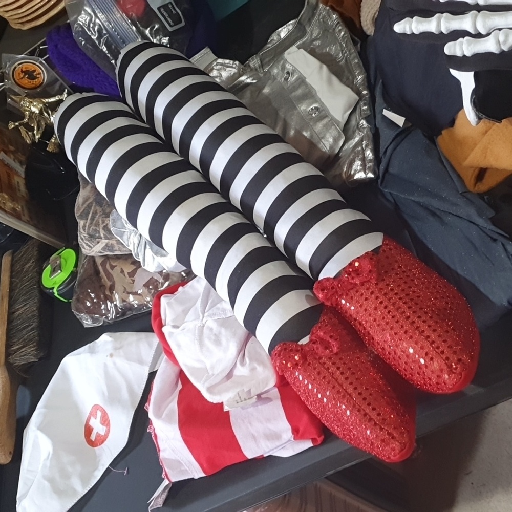 The Wizard of Oz Wicked Witch ruby slippers legs prob